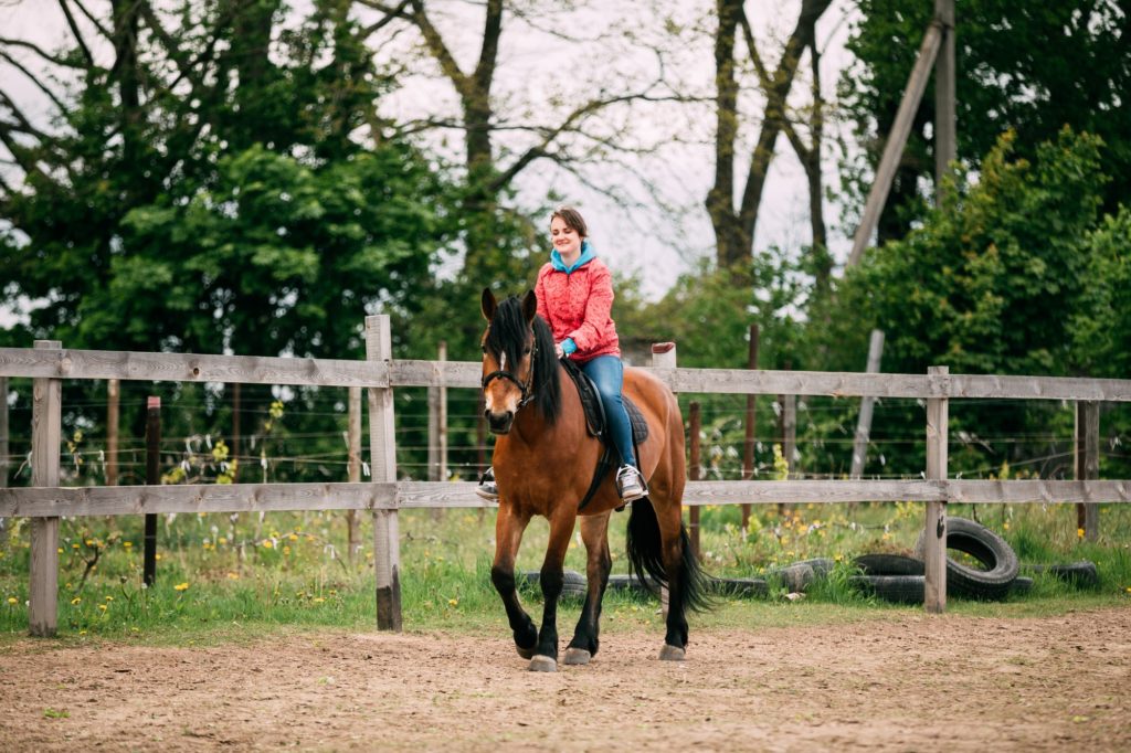 Horse Riding